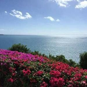 Meet your Posher, Magdalena